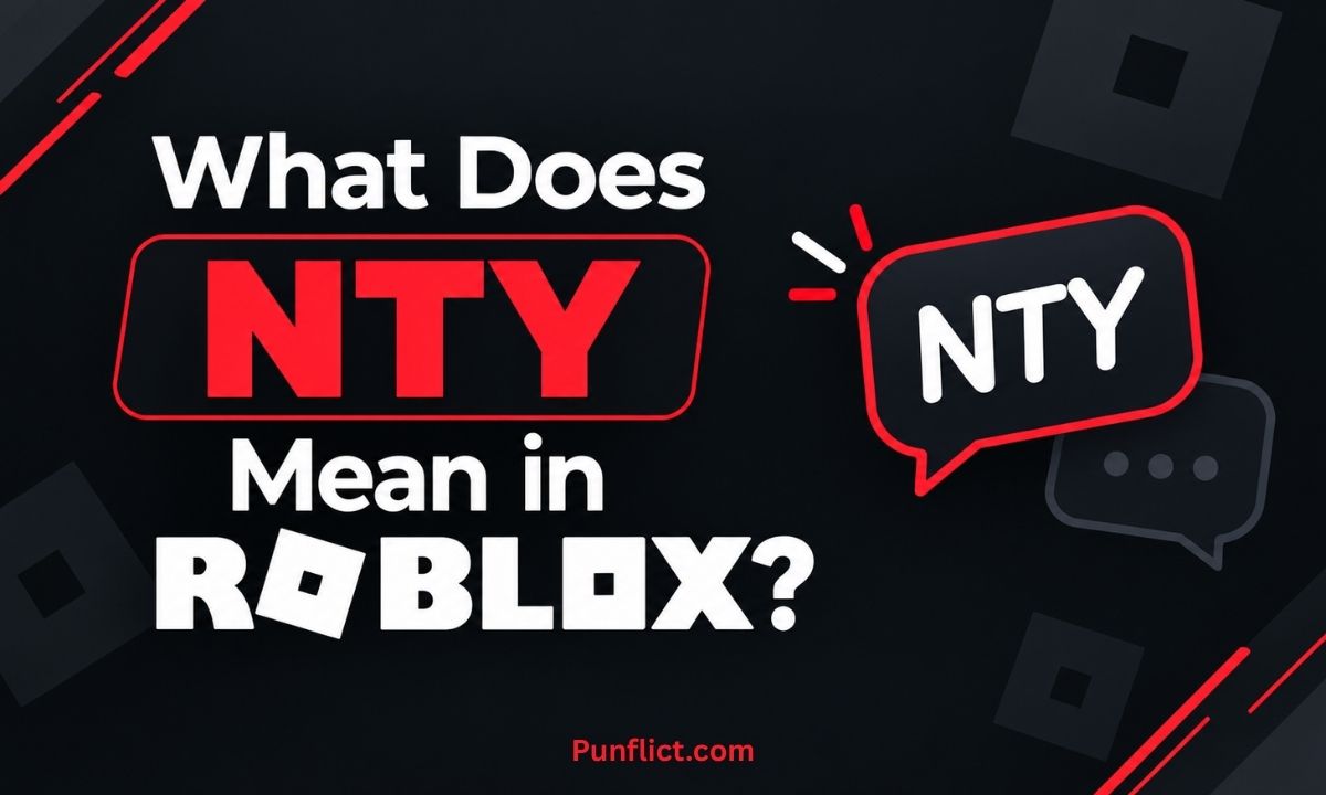 what-does-nty-mean-in-roblox